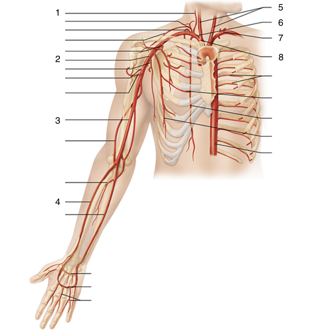 <p>2</p>
