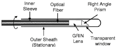 <p>Fibre based endoscopic OCT purpose and components</p>