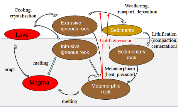 <p>A continuous geological process model illustrating how igneous, sedimentary, and metamorphic rocks are formed, broken down, transformed, and recycled over time.</p>