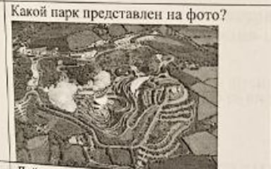 term image