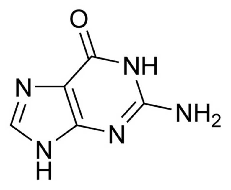 <p>What is the chemical name of Guanine (G)?</p>