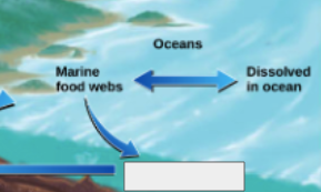 <p>phosphorous cycle: name the step </p>