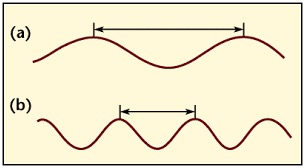 <p><span>In the image, which wave has the longest wavelength?</span></p>