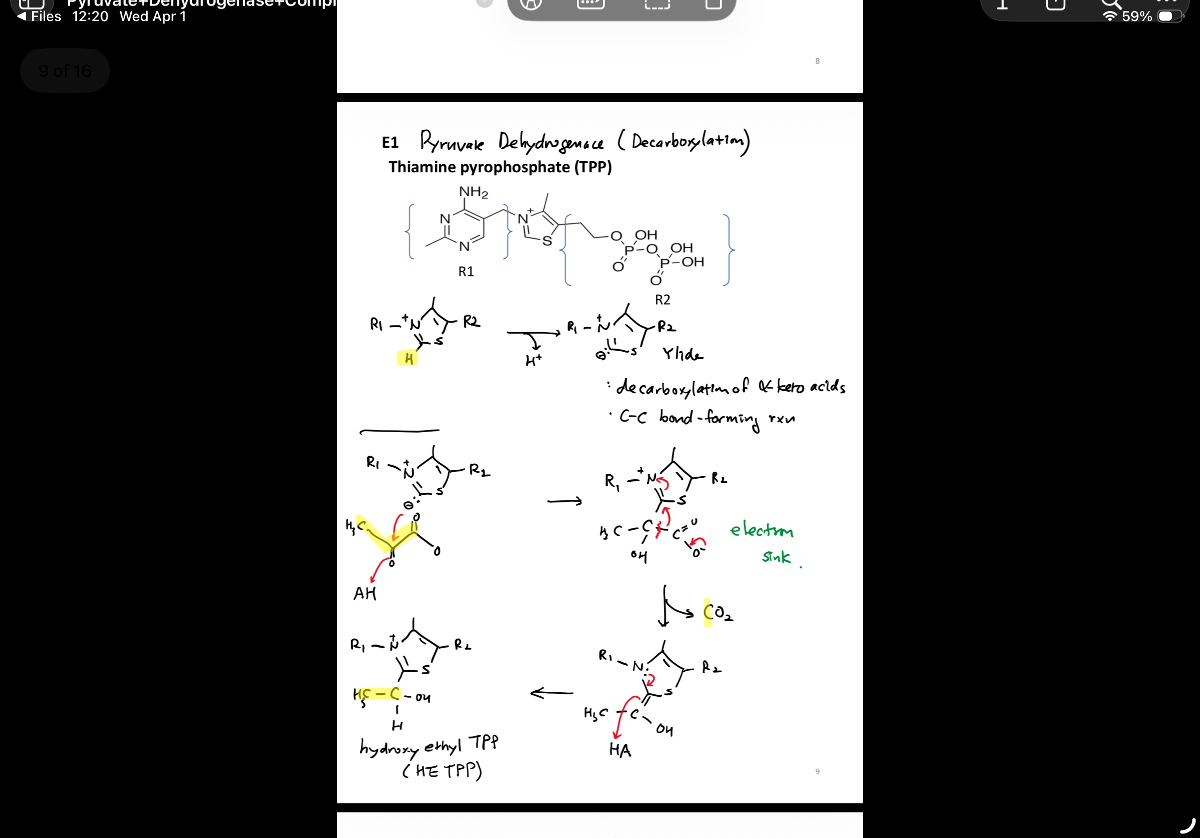 knowt flashcard image