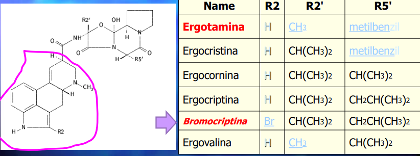 <p>Identifica o composto e diz:</p><ul><li><p>Qual a classe</p></li><li><p>O percursor/ via de síntese</p></li><li><p>Ação farmacológica e o mecanismo associado</p></li></ul><p></p>