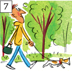 <p>caminar al perro</p>