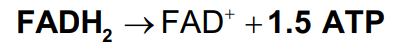 <p>FADH<sub>2</sub> enters electron transport at complex II, which is at a lower energy level. Thus, FADH<sub>2</sub> provides energy to produce 1.5 ATP</p>