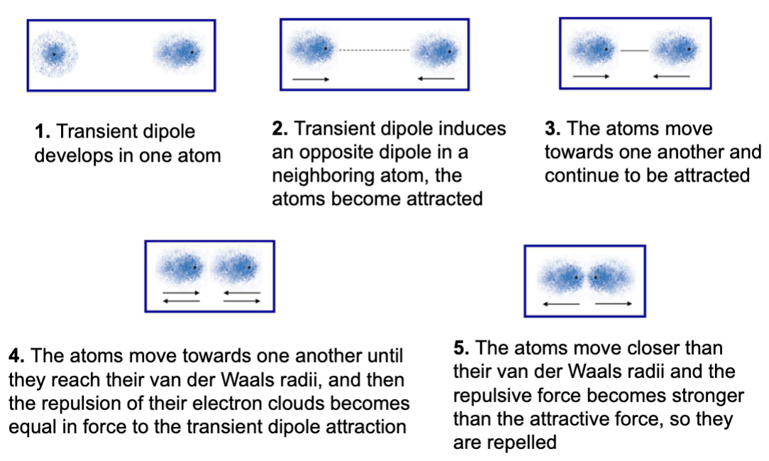 <p>very weak transient version of other electrostatic interactions</p><ul><li><p>fluctuating dipole</p></li></ul><p>random variations in electron positions around a nucleus causes transient dipole</p><p>distance is important</p><ul><li><p>equilibrium is achieved when attractions and repulsion are balanced</p></li></ul><p></p>