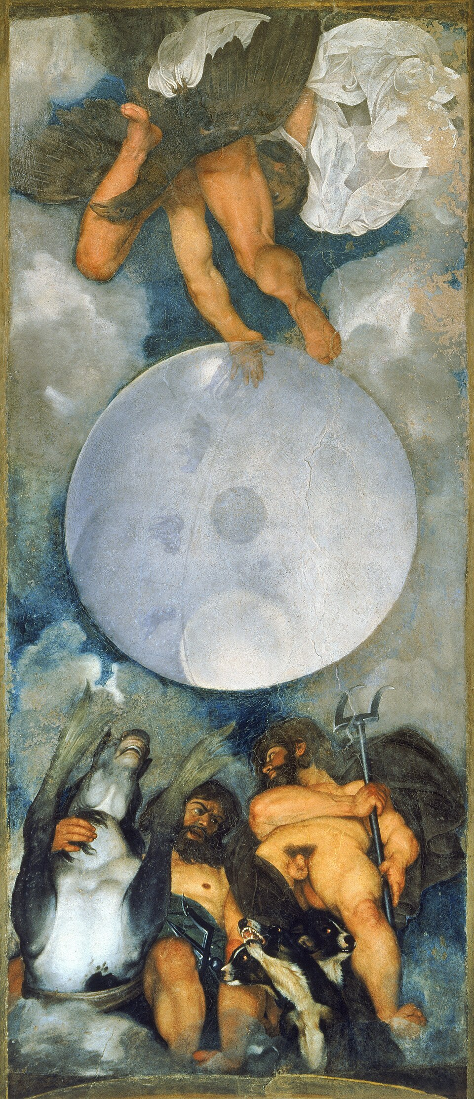 term image