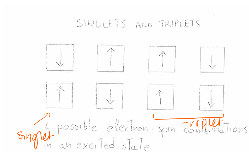 <p>singlet is when the arrows are pointing away from eachother, triplet is when theyre pointng in the same direction, these spins are the possible ways electron spin in combination in excited state</p>