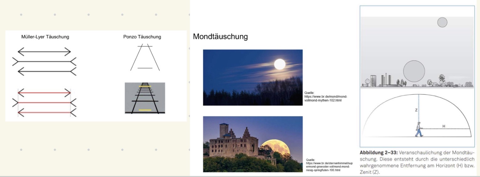 <p><span><strong>Mondtäuschung</strong></span></p><ul><li><p><span>Wahrnehmungstäuschung, dass der Mond, wenn er knapp über dem Horizont hängt, viel größer erscheint als hoch am Himmel.</span></p></li><li><p><span>Das Phänomen lässt sich darauf zurückführen, dass dem Auge die Tiefeninformation fehlt, wenn der Mond hoch steht, und der Kontext, also die Objekte in der Nähe des Mondes am Horizont, die wahrgenommene Größe beeinflussen.</span></p></li><li><p><span>Die vom Menschen registrierte Distanz des Mondes am Horizont ist aufgrund der dort sichtbaren Objekte (Landschaft) größer als die des Mondes hoch am Himmel.</span></p></li></ul><p></p><ul><li><p><span><strong>Verschwindet </strong>wenn die (normalerweise sichtbare) Landschaft am Horizont abgedeckt wird</span></p></li><li><p><span>wenn der Mond auf Fotos betrachtet wird: Dann ist der Durchmesser der Mondscheibe gleich groß, ob er nun am Horizont oder hoch am Himmel steht</span></p></li></ul><p></p>