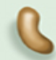 <p>Vibrio</p>