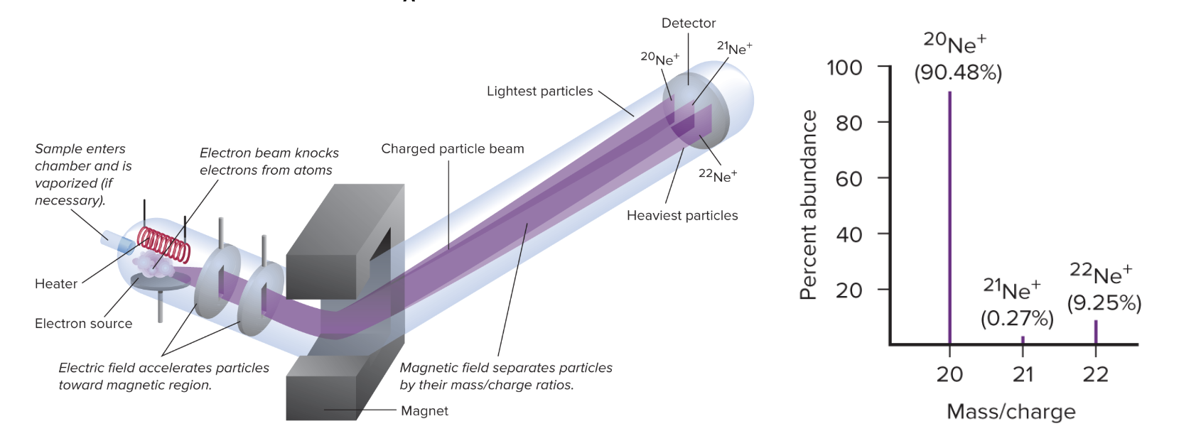<p>Mass spec is a way to separate an element based on relative masses and abundances of atom-scale particles. <br><br>Essentially, you’ll take the substance and vaporize it into a gas so atoms can move more freely. Afterards, a high-energy electron beam will knock off the electrons, converting the molecules into positive ions (cations). Then, an electric field will accelerate the cations into high speed. Finally, they will be deflected. Ions with a lower mass will deflect more. They will all slam into a dector, which records the impact location and converts it into a graph/table. <br><br>The table generated can be used to find the average AMU! This is ez math btw<br><br>Look at image</p>