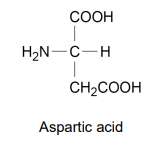 <p>Draw the skeletal formula of the organic product formed when aspartic acid reacts with an excess of methanol and a little concentrated sulfuric acid. [1 mark]</p>