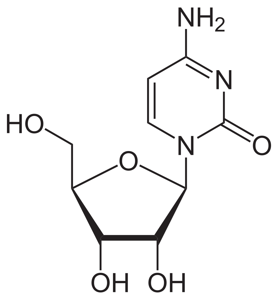 <p>name this nucleoside</p>