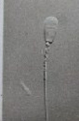 <p>What is this? Normal or abnormal sperm?</p>