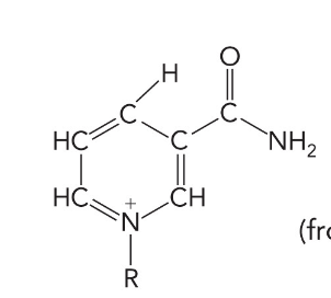 <p>What is the name of this molecule</p>