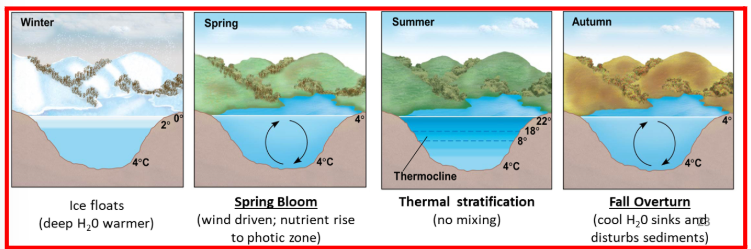 <p>Regional/Local climate explain the diagram</p>