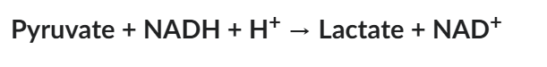 <p>The following reaction occurs in muscle cells under specific circumstances: If the <span>Δ</span>G of the forward reaction (left to right) is negative under these circumstances, this means that:</p>