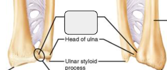 <p>What marking?</p>
