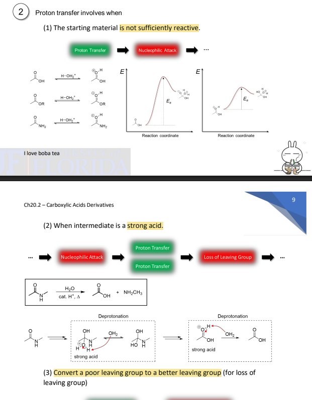 <p><strong><u>Nucelophilic Acyl Substitution </u></strong></p><ul><li><p>The core pattern involves nucleophilic attack followed by loss of a leaving group </p><ul><li><p><span style="color: blue;"><strong><u><mark data-color="blue" style="background-color: blue; color: inherit;">Proton Transfer occurs when </mark></u></strong></span></p></li></ul></li></ul><ol><li><p><strong>The starting material is not ______</strong></p></li><li><p><strong>The intermediate is a <mark data-color="yellow" style="background-color: yellow; color: inherit;">strong acid </mark></strong></p></li><li><p><strong>You must convert a poor leaving group to a better leaving group (for loss of leaving group)</strong></p></li></ol><p></p>