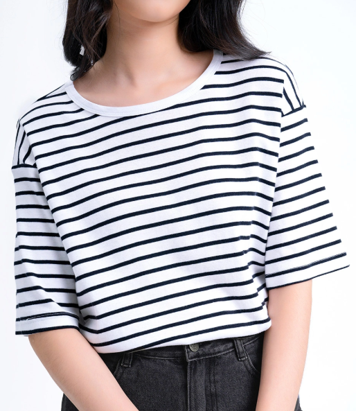 <p><span><strong>stripe </strong>/straɪp/</span></p>