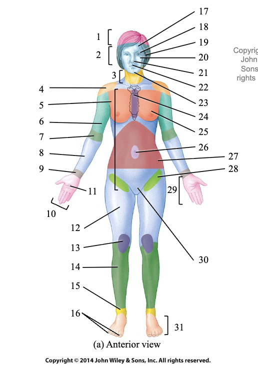 <p>What is #27</p>