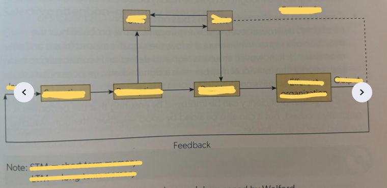 <p>Welfords Model</p>