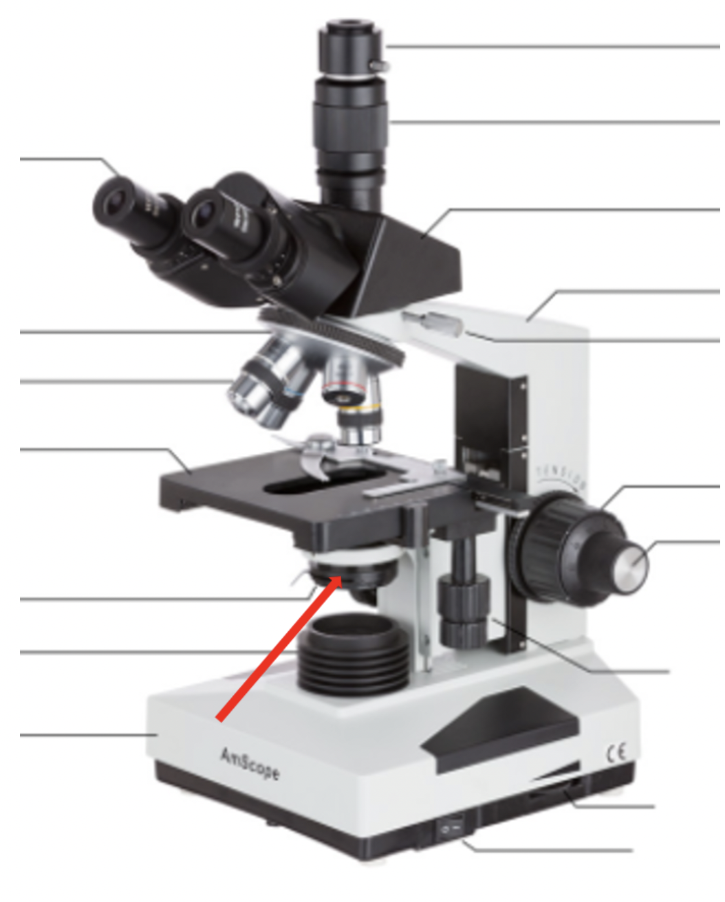 <p><span>Identify the microscope part at the red arrow</span></p>