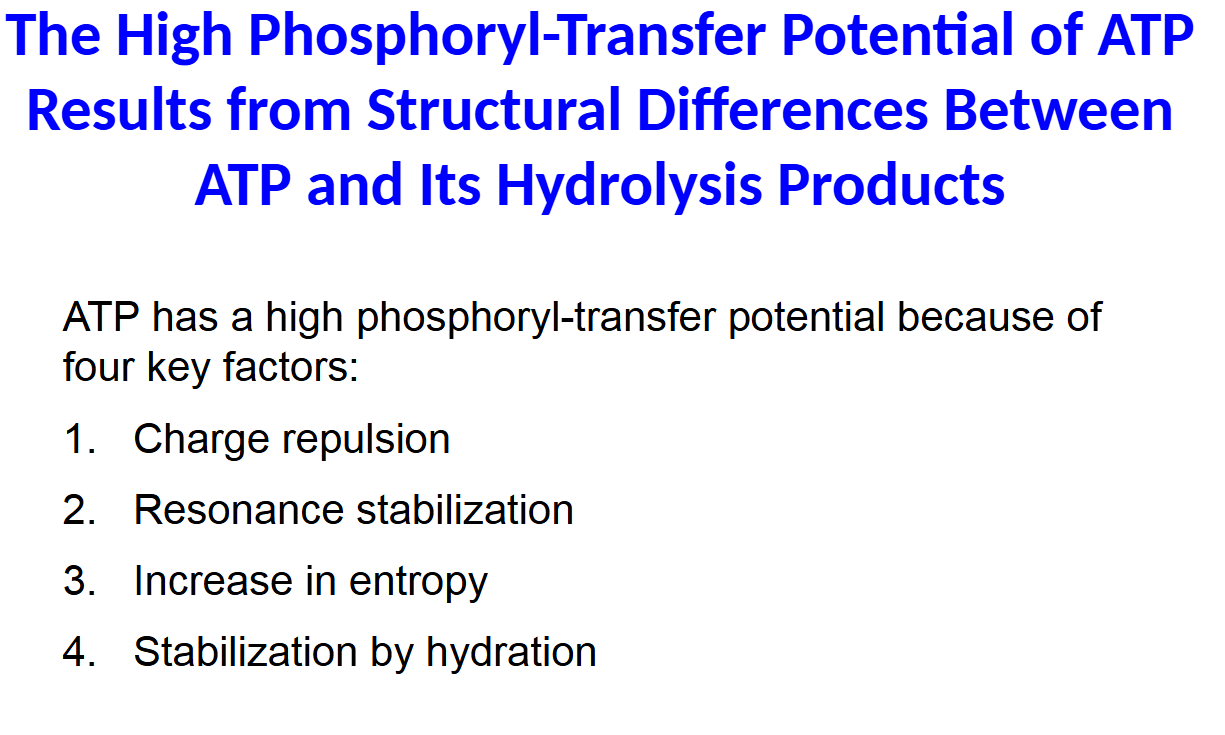 <p>ATP has a high phosphoryl-transfer potential because of</p><p>four key factors:</p><p>1. Charge repulsion</p><p>2. Resonance stabilization</p><p>3. Increase in entropy</p><p>4. Stabilization by hydration</p>