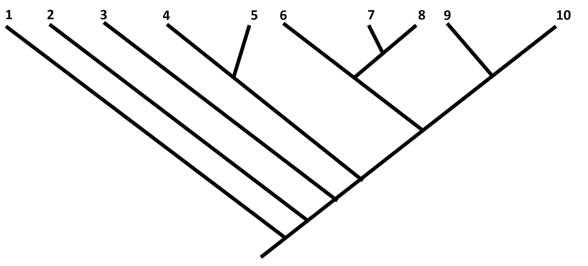 <p><span>According to the phylogenetic tree below, how could we best describe a group of organisms that includes </span><strong>taxa</strong><span> </span><strong>6, 7, 8, and 9</strong><span>?</span></p>
