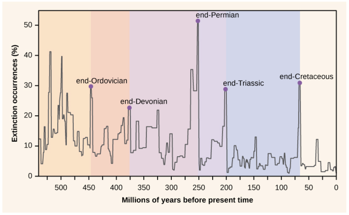 <p>The K-Pg or K-T (end-Cretaceous) extinction is the fifth (i.e., most recent) mass extinction (OpenStax Biology 2e Figure 27.17) marked the end of the _____ and was followed by the</p>