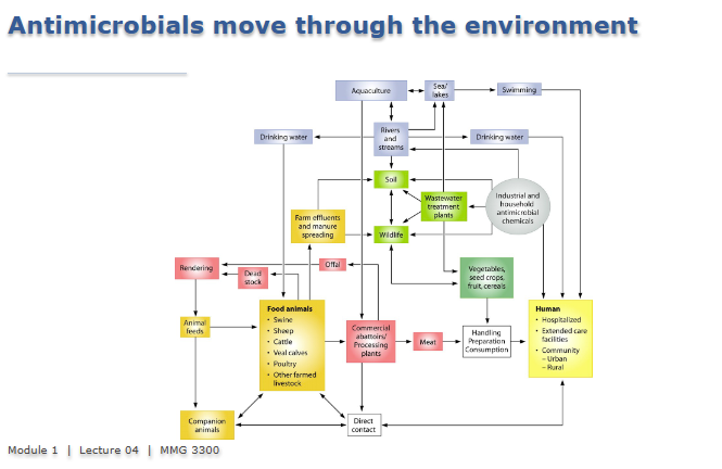 <p>Over-prescription: unnecessary antibiotic prescriptions in healthcare settings accelerate resistance selection</p><p>Agricultural use: Antibiotics in livestock for growth promotion and prophylaxis create environmental reservoirs of resistance genes</p><p>Patient misuse: Incomplete courses and self-medication with antibiotics contribute to sublethal selection pressure</p><p>Environmental dissemination: Antibiotics and resistant bacteria from hospitals, farms and wastewater contaminate soil and water systems</p>