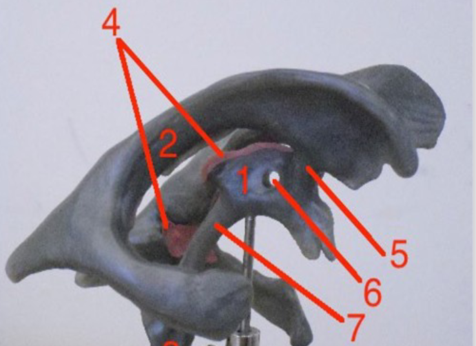 <p>1</p>