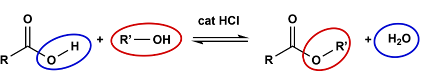 <p>Acid Cat (H2SO4 or ArSO3H or HCl), fully reversible</p>