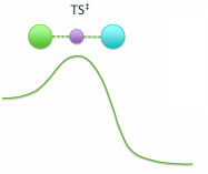 <p>The vibrational motion. The TS is inherently unstable, therefore a small distortion will send the TS forwards or backwards.</p>