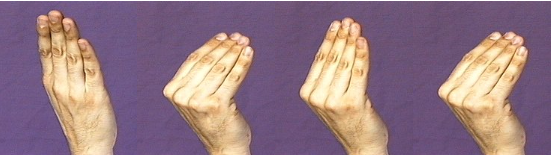 <p></p>