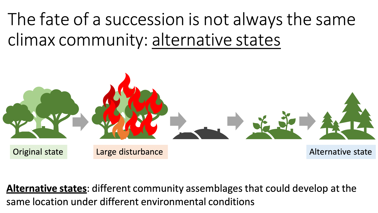 <ul><li><p>When The fate of a succession is not always the same climax community → <strong>Alternative states</strong></p><ul><li><p>State where different community assemblages that could develop at the same location under different environmental conditions</p><ul><li><p>Can arise after disturbance</p></li><li><p>Succession does not always lead to a climax community because things can be changed immensely.</p></li></ul></li></ul></li><li><p>“<span>Pre-wildfire and pos-wildfire climax community likely look much different from one another. Secondary successional stages can develop an alternative state. Won’t usually see sich a drastic change in tree type (just there for visual aid) but will be change.”</span></p></li></ul><p></p>