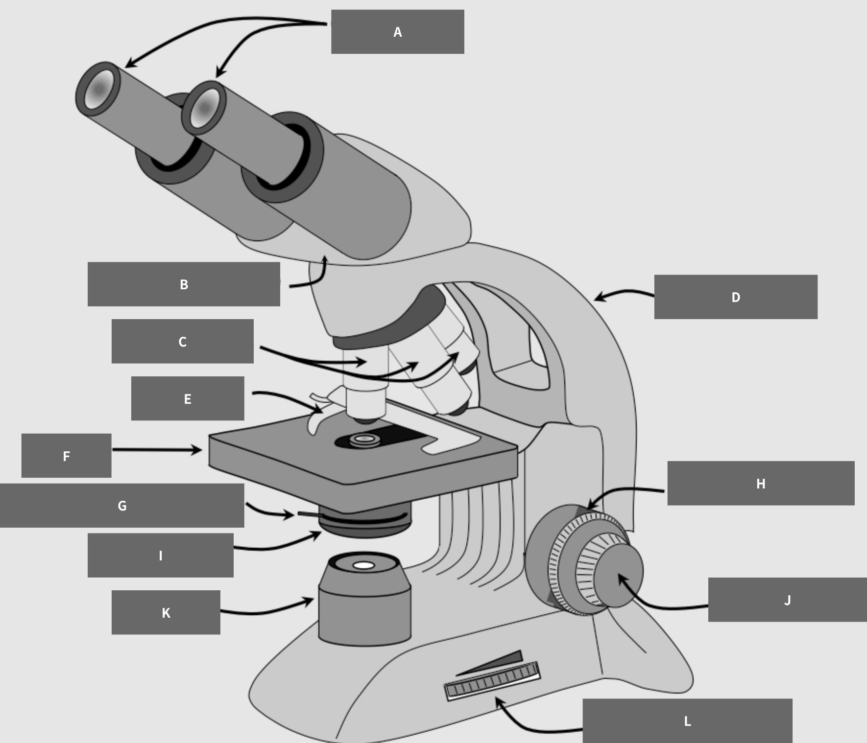 <p>G, H, I</p>