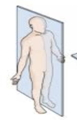 <p>Sagittal = right/left sections </p><p>Midsagittal = equal sections</p><p>Parasagittal = unequal sections</p>