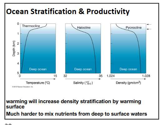 <p>what are the top 6 environmental requirements and constraints on oceanic life?</p>