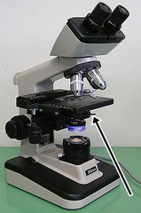 <p>What part of the microscope does the arrow indicate</p>