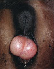 <p>What is this and what do you do?</p>