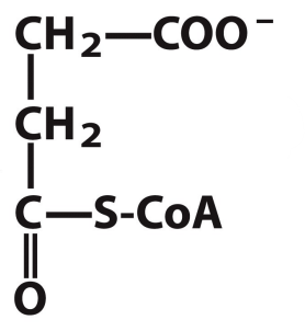 <p>What is this structure?</p>