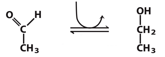 <p>What enzyme catalyzes this reaction? What are the intermediates, if any?</p>