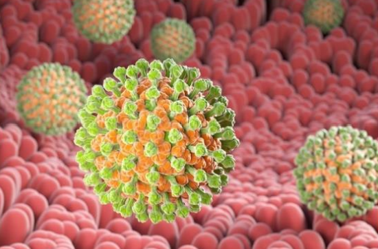 <p>Describe the <strong>Disease Symptoms</strong> of this waterborne virus:</p><p>-<strong>Rotavirus</strong></p>