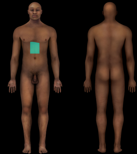 term image