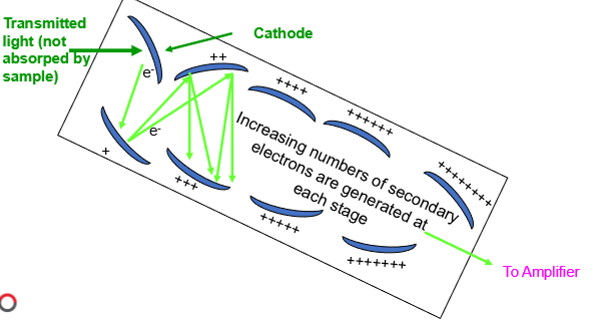 <p>The detector - measure the intensity of the signal isolated by the monochromator. It functions to convert radiant energy from the hollow cathode to a signal that amplifies this signal to drive a recorder or meter</p>