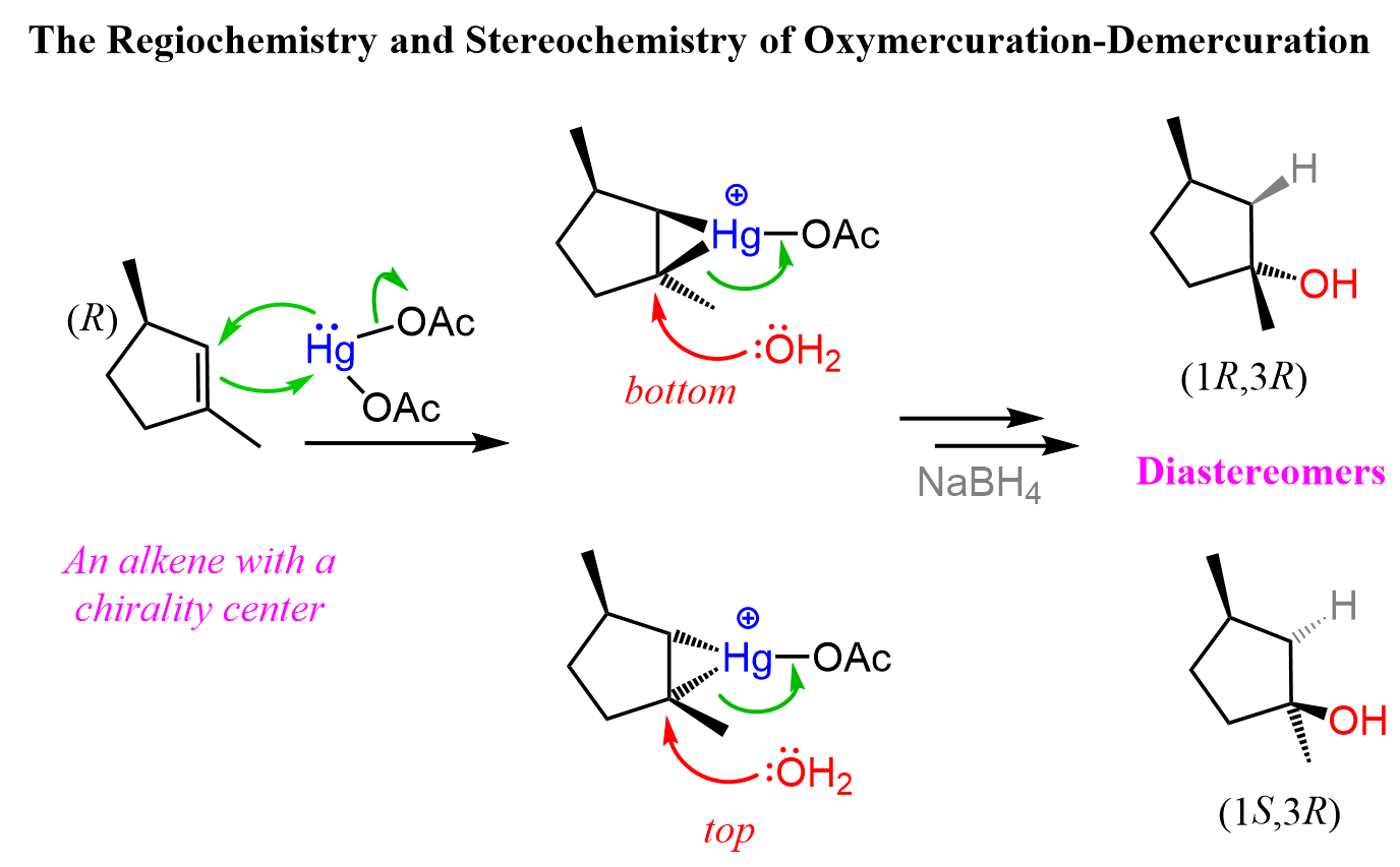 <p>☐ <strong>step 1</strong>: the alkene reacts with Hg(OAc)₂ to form a bridged mercurinium ion</p><p><br>☐ <strong>step 2</strong>: water attacks the more substituted carbon</p><p><br>☐ <strong>step 3</strong>: deprotonation forms an organomercury alcohol</p><p></p><p class="p2">☐ <strong>step 4</strong>: NaBH₄ replaces the Hg-containing group with H<br>☐ the net result is <strong>hydration of the alkene</strong><br>☐ <strong>OH</strong> ends up on the more substituted carbon</p>