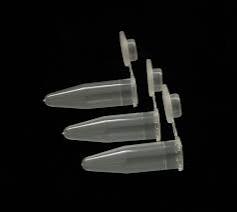 <p>Eppendorf tube</p>